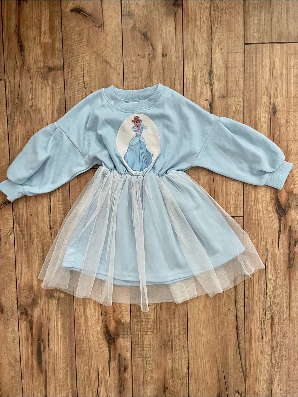 Cinderella Dress